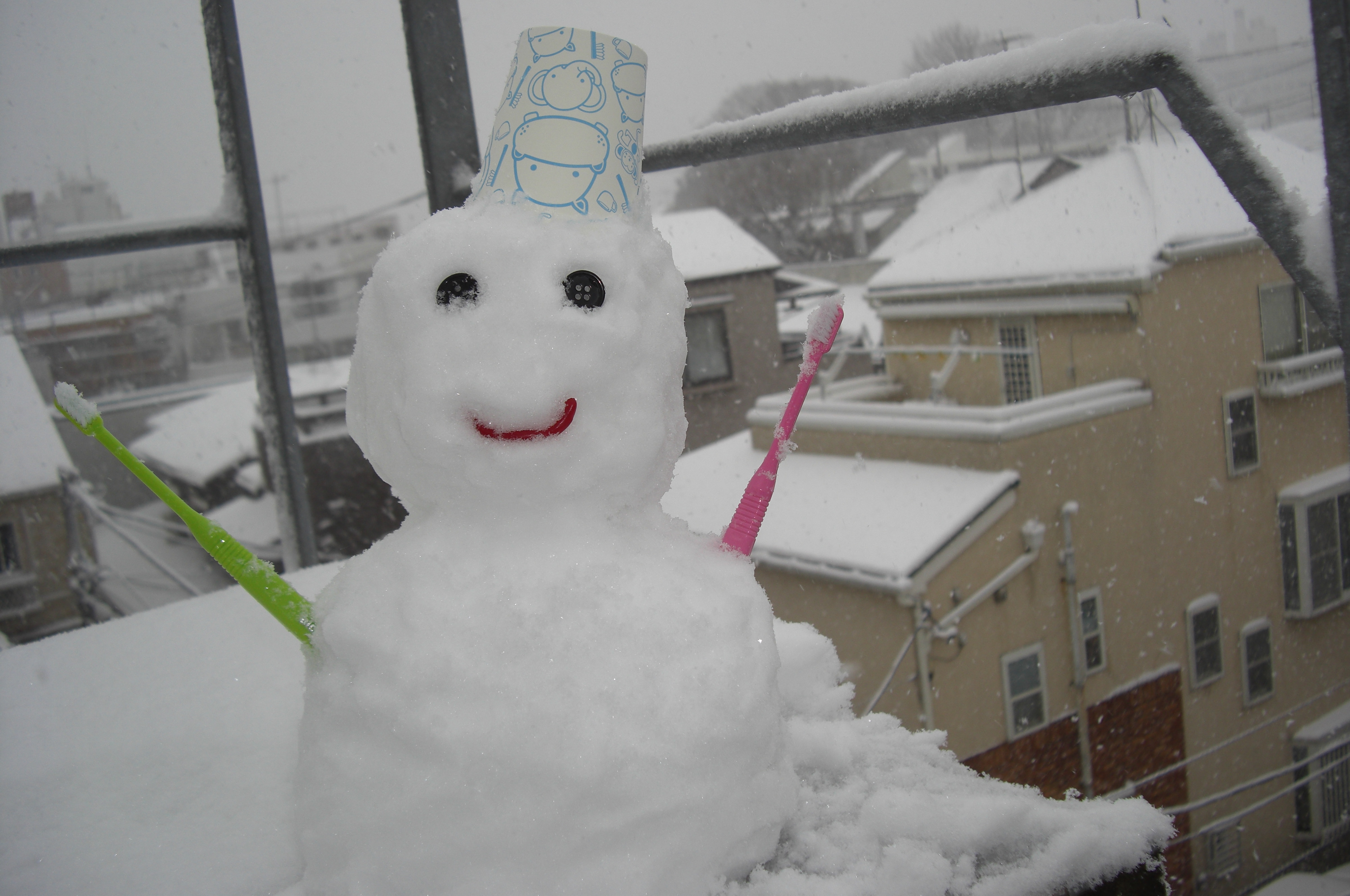 記録的大雪