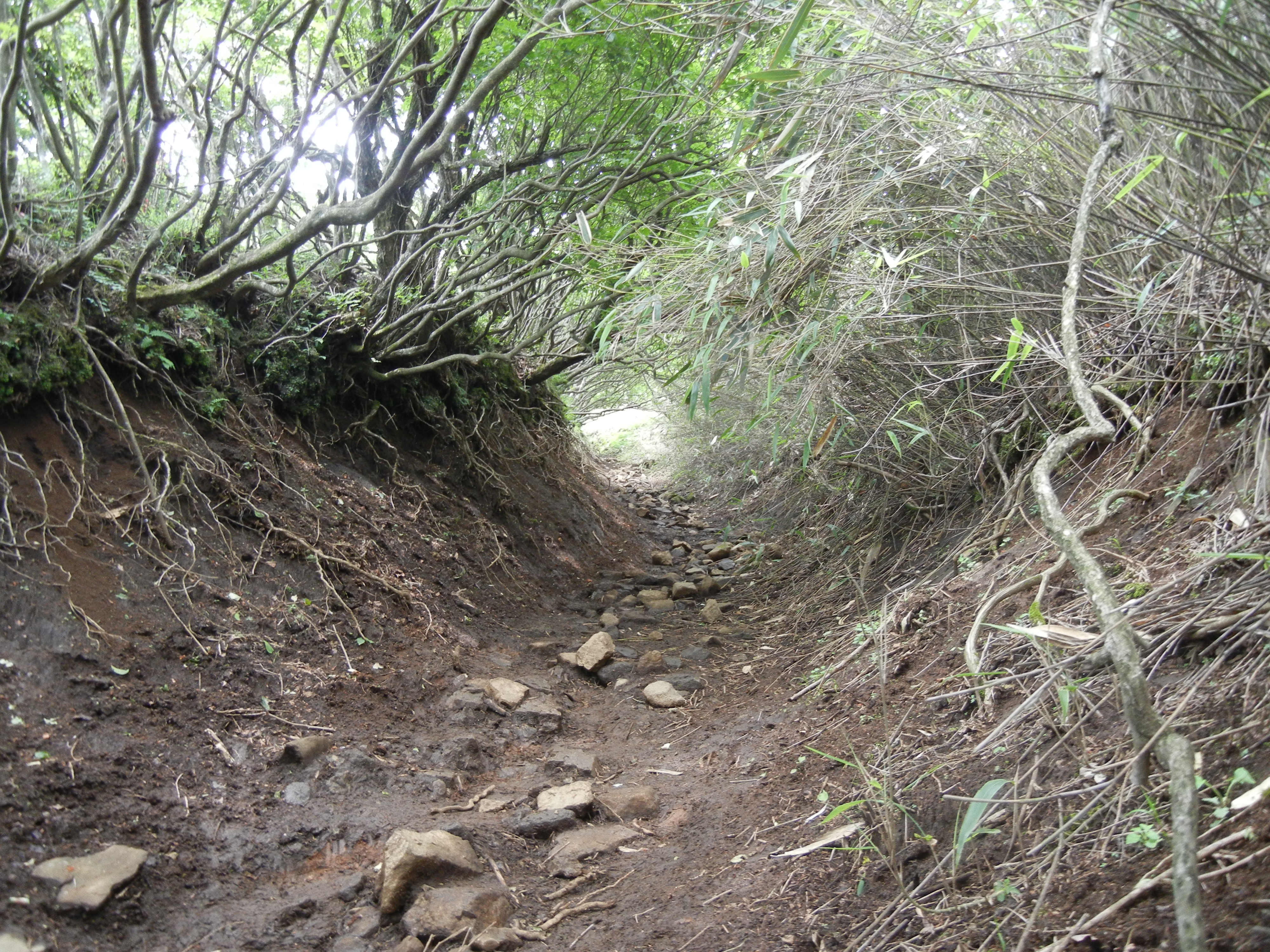 日帰り登山